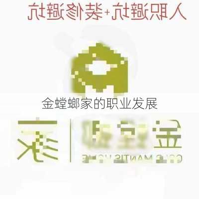 金螳螂家的职业发展