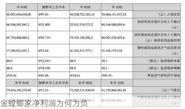 金螳螂家净利润为何为负