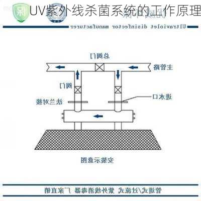 UV紫外线杀菌系统的工作原理