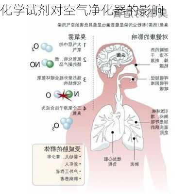 化学试剂对空气净化器的影响