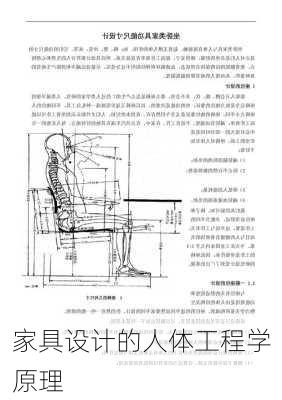 家具设计的人体工程学原理