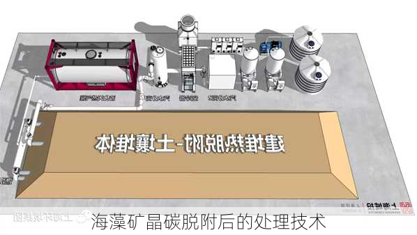 海藻矿晶碳脱附后的处理技术