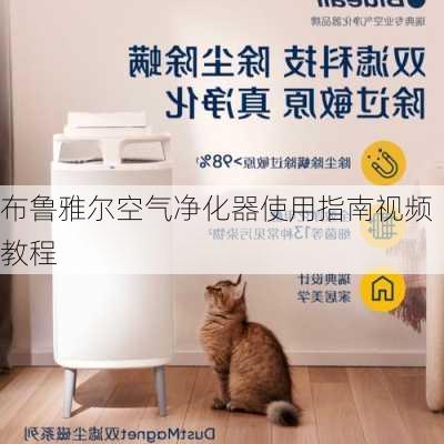 布鲁雅尔空气净化器使用指南视频教程