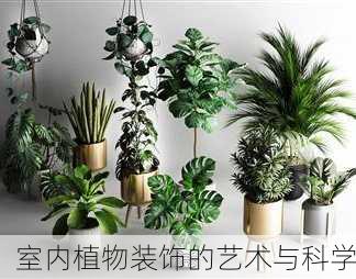 室内植物装饰的艺术与科学