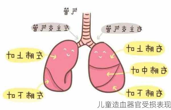 儿童造血器官受损表现