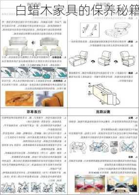 白蜡木家具的保养秘籍