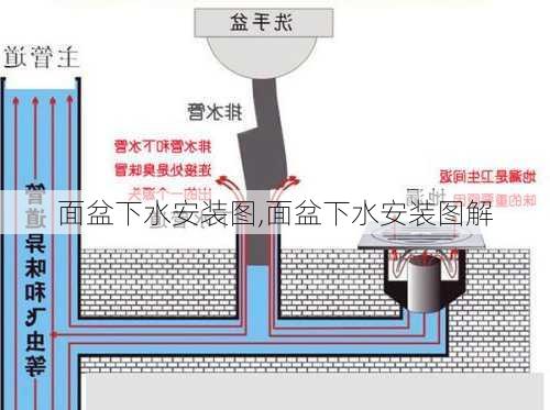 面盆下水安装图,面盆下水安装图解