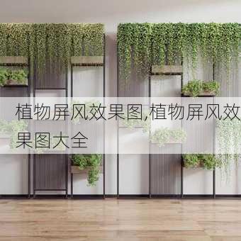 植物屏风效果图,植物屏风效果图大全