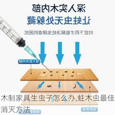 木制家具生虫子怎么办,蛀木虫最佳消灭方法