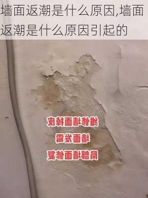 墙面返潮是什么原因,墙面返潮是什么原因引起的