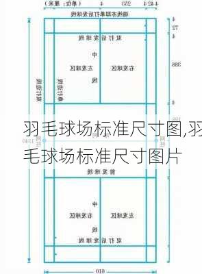 羽毛球场标准尺寸图,羽毛球场标准尺寸图片