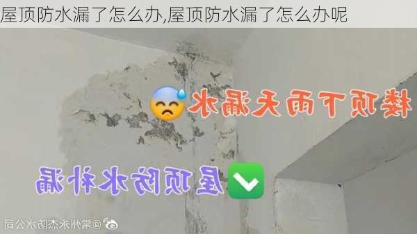 屋顶防水漏了怎么办,屋顶防水漏了怎么办呢