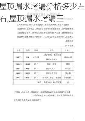 屋顶漏水堵漏价格多少左右,屋顶漏水堵漏王