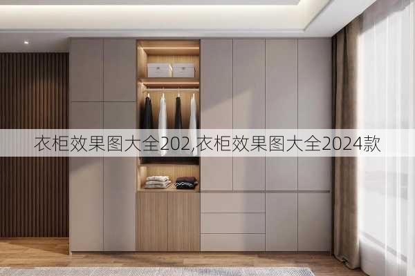 衣柜效果图大全202,衣柜效果图大全2024款