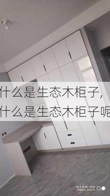 什么是生态木柜子,什么是生态木柜子呢