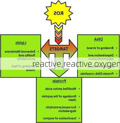 reactive,reactive oxygen