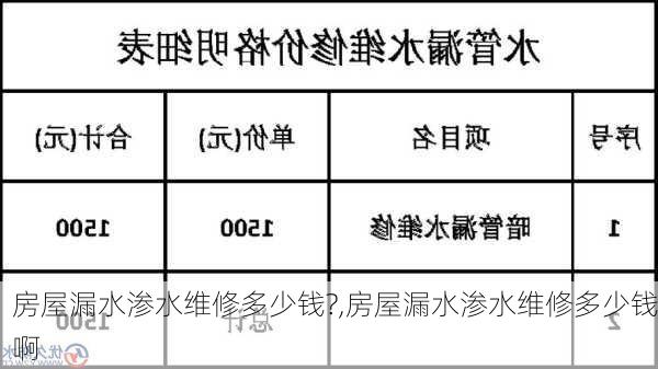 房屋漏水渗水维修多少钱?,房屋漏水渗水维修多少钱啊