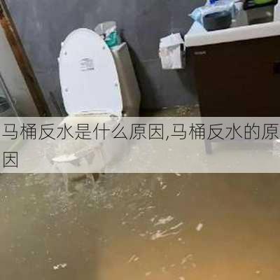 马桶反水是什么原因,马桶反水的原因