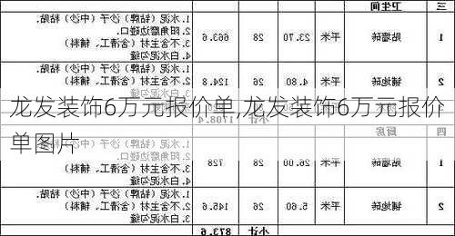 龙发装饰6万元报价单,龙发装饰6万元报价单图片