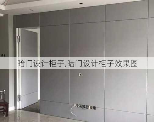 暗门设计柜子,暗门设计柜子效果图