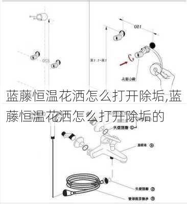 蓝藤恒温花洒怎么打开除垢,蓝藤恒温花洒怎么打开除垢的