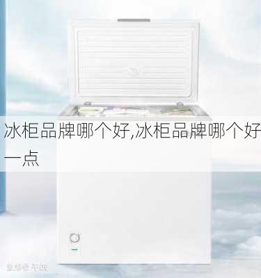 冰柜品牌哪个好,冰柜品牌哪个好一点