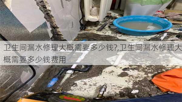 卫生间漏水修理大概需要多少钱?,卫生间漏水修理大概需要多少钱费用