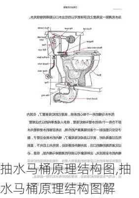 抽水马桶原理结构图,抽水马桶原理结构图解