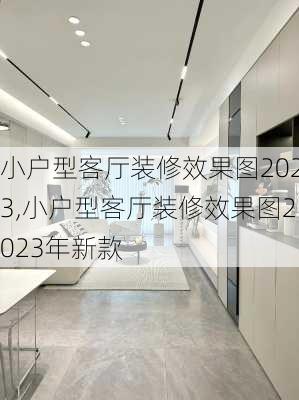 小户型客厅装修效果图2023,小户型客厅装修效果图2023年新款