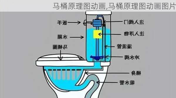 马桶原理图动画,马桶原理图动画图片