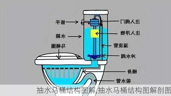 抽水马桶结构图解,抽水马桶结构图解剖图