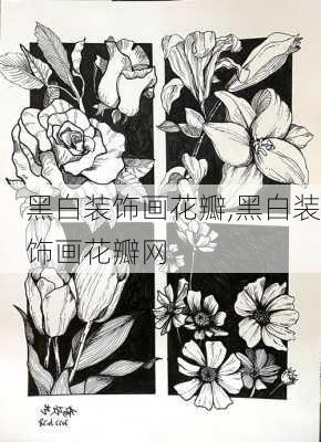 黑白装饰画花瓣,黑白装饰画花瓣网