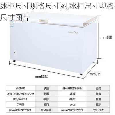 冰柜尺寸规格尺寸图,冰柜尺寸规格尺寸图片