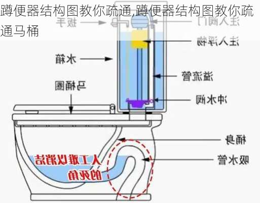 蹲便器结构图教你疏通,蹲便器结构图教你疏通马桶