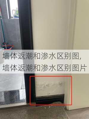 墙体返潮和渗水区别图,墙体返潮和渗水区别图片