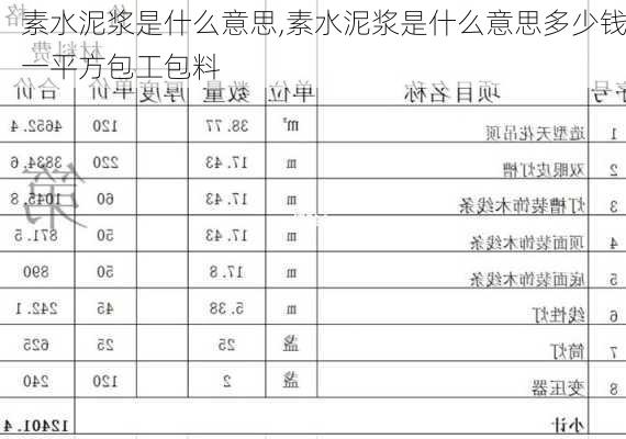 素水泥浆是什么意思,素水泥浆是什么意思多少钱一平方包工包料