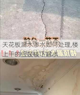 天花板漏水渗水如何处理,楼上干的但是楼下漏水